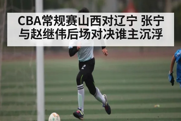 CBA常规赛山西对辽宁 张宁与赵继伟后场对决谁主沉浮